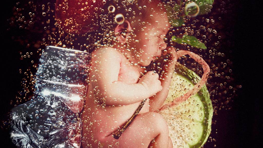 Fotomontage eines Fötus vor Eiswürfeln, Zitrone in Kohnesäurebläschen
